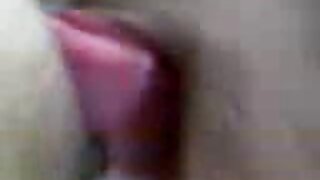 Амтат Пета бялуу (Кейран Ли, Пета Женсен) - 2022-03-15 05:30:29
